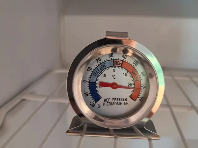 Refrigerator temperature verification after service for a Carmel appliance repair customer