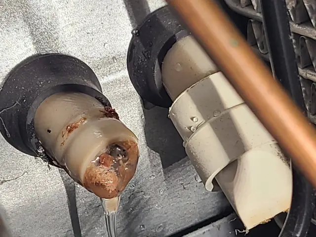 Refrigerator drain line cleaning for a Carmel appliance repair customer with a water leak