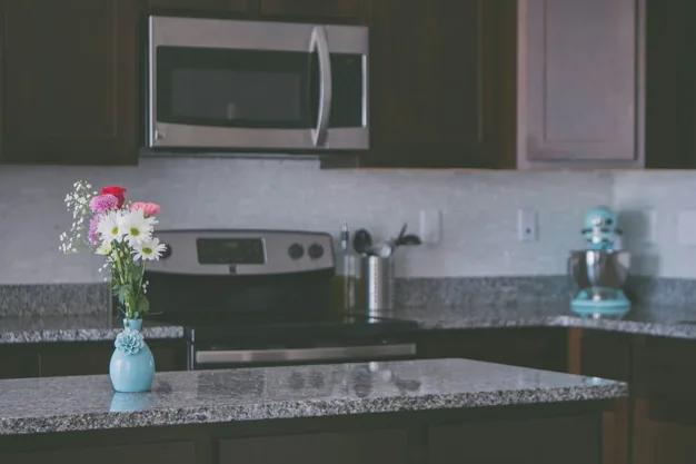 Microwave repair service