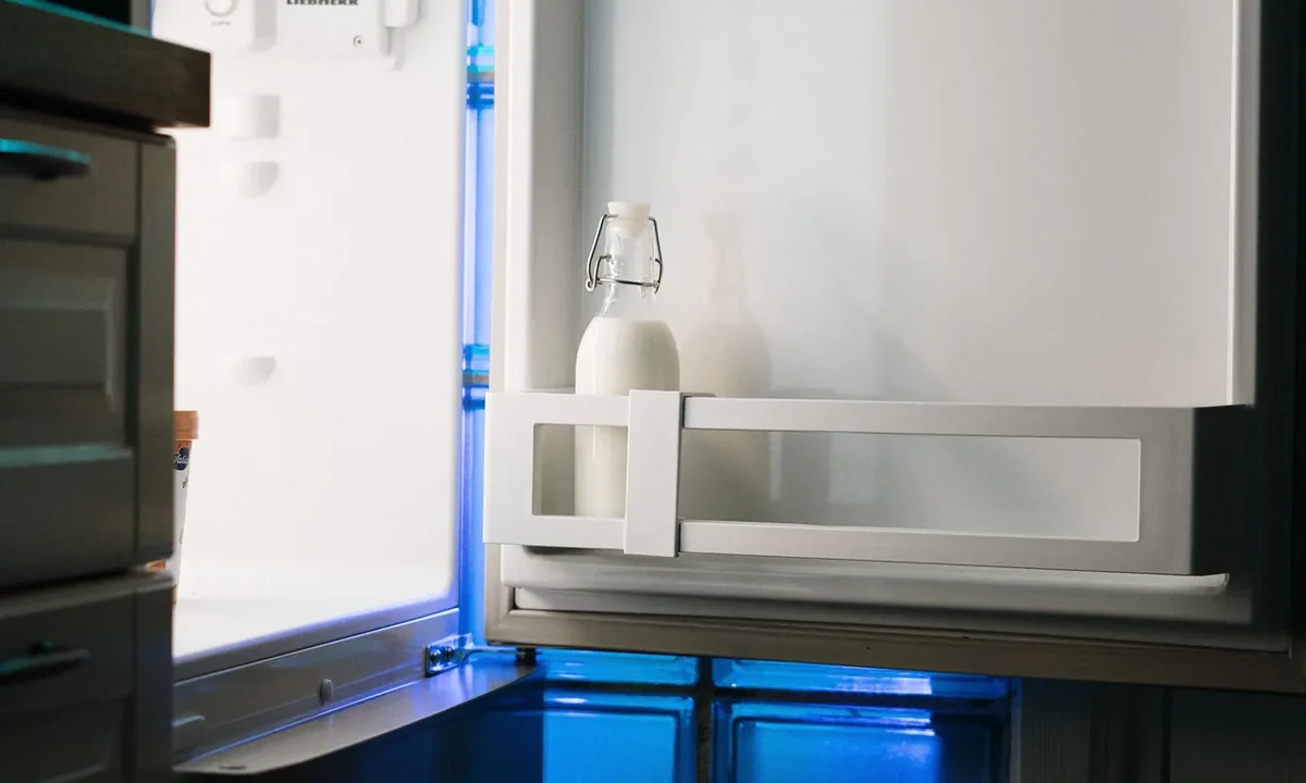 Refrigerator repair service