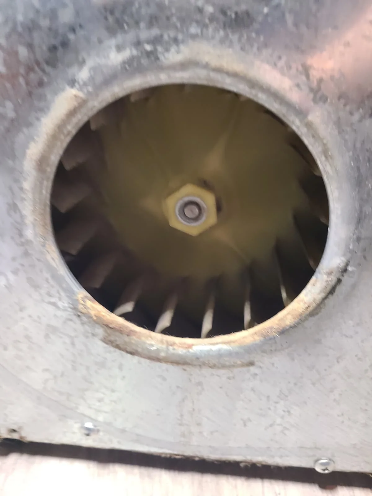 After: blower wheel opening cleared of the heavy lint accumulation