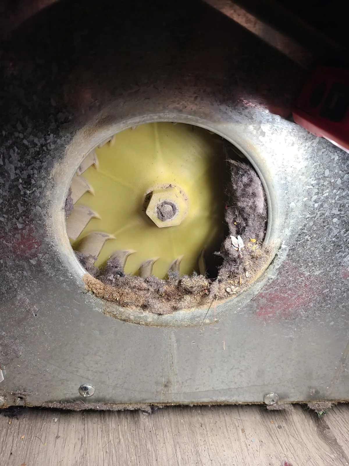 Before: compacted lint and debris around the yellow blower wheel and its inlet