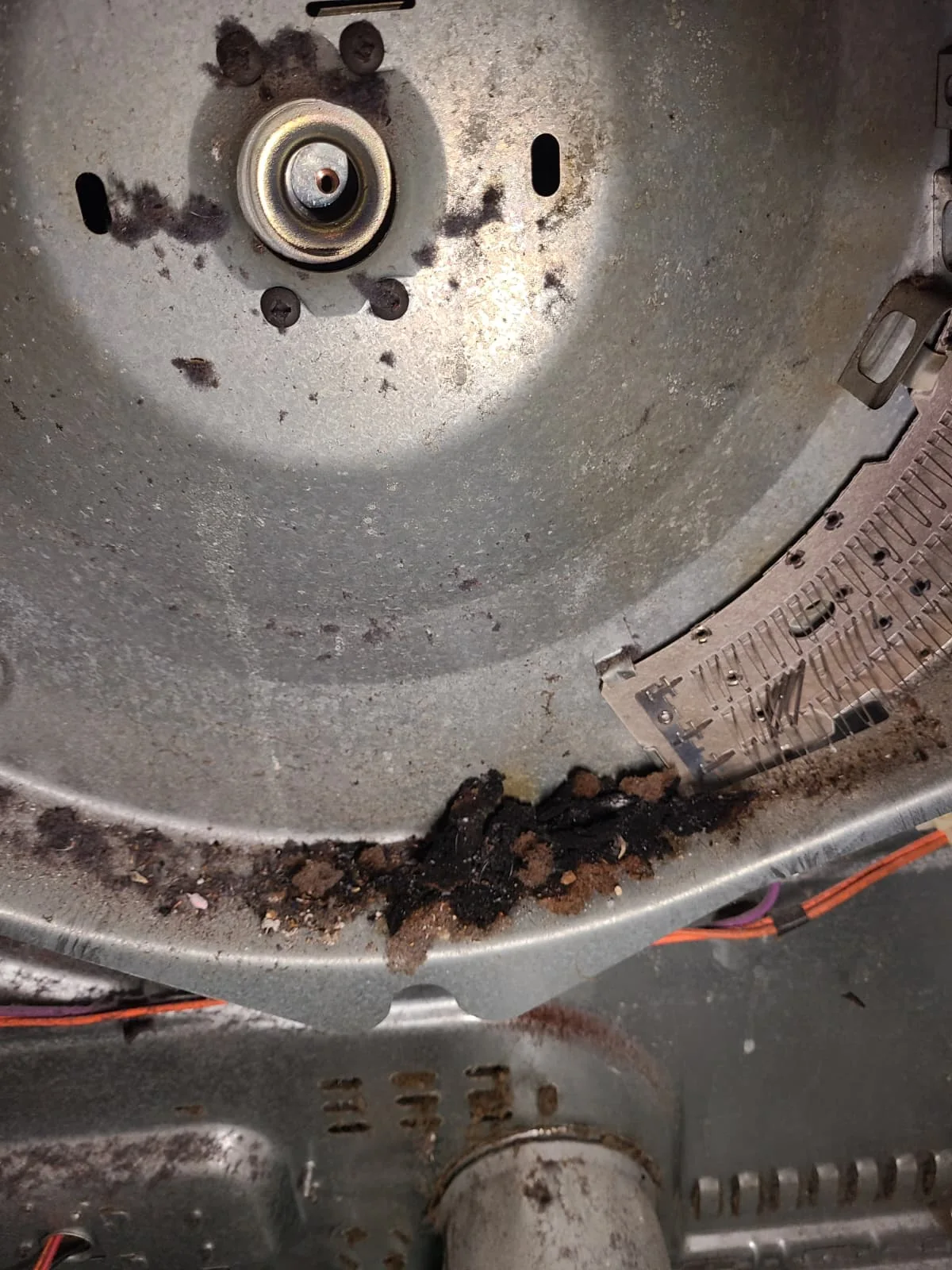 Before: dark compacted debris along the lower edge of the rear heater area