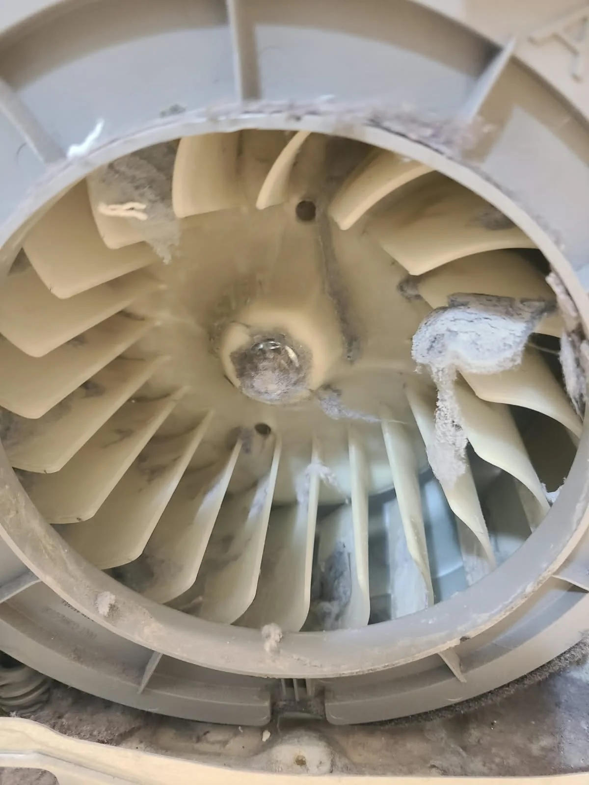 Blower wheel with lint deposits before cleaning