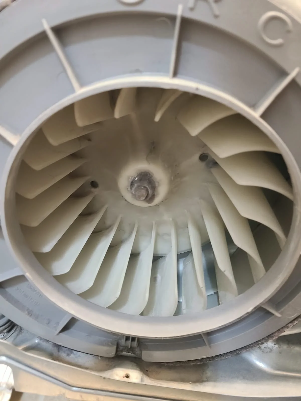 Blower wheel after lint removal