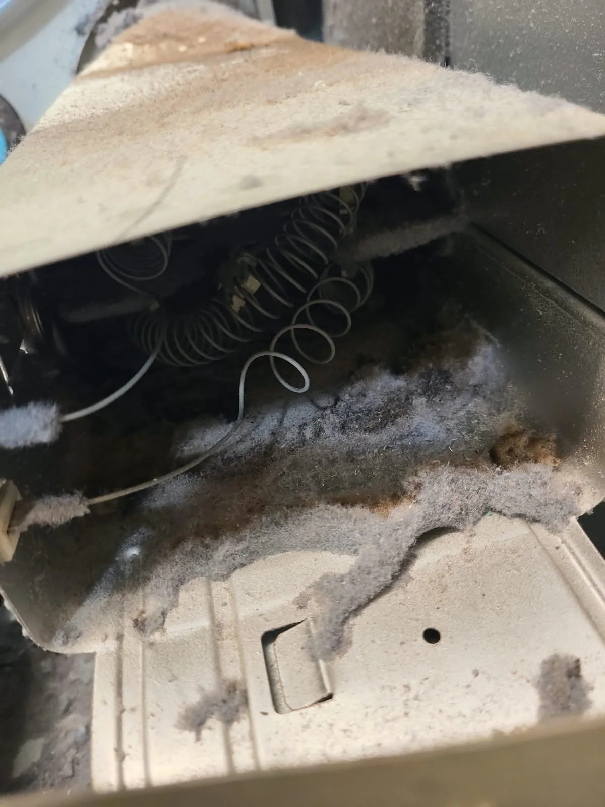 Lint accumulation inside the heater housing before service